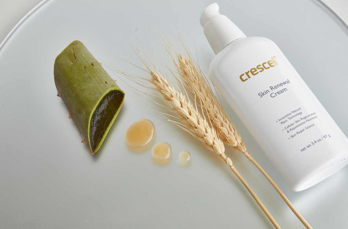 About Us – Crescel